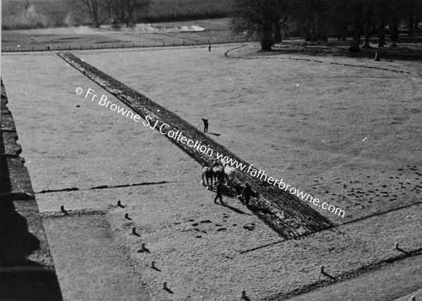 PLOUGHING NEAR DAIRY HILL